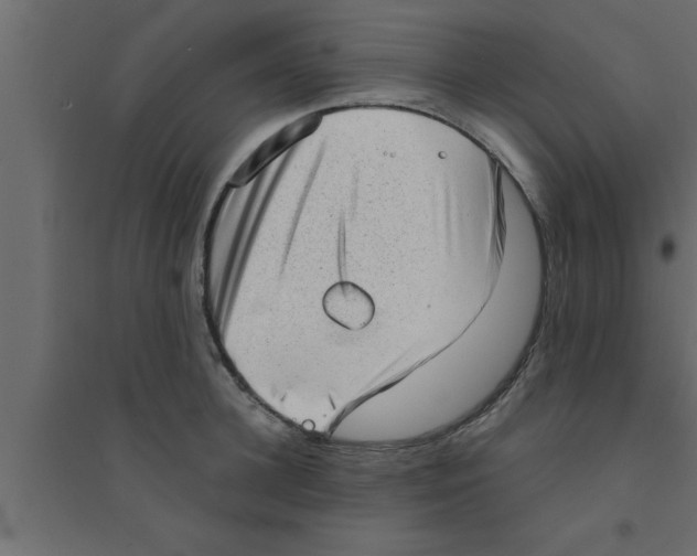 X0000094210948200711241657