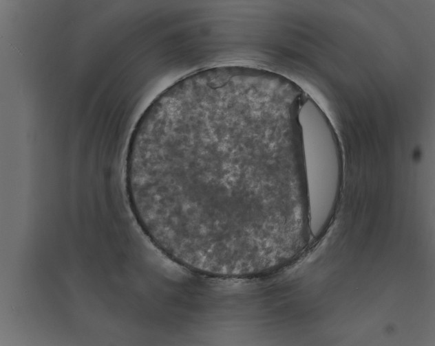 X0000094210949200711241657