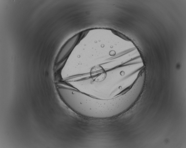 X0000094210950200711241657