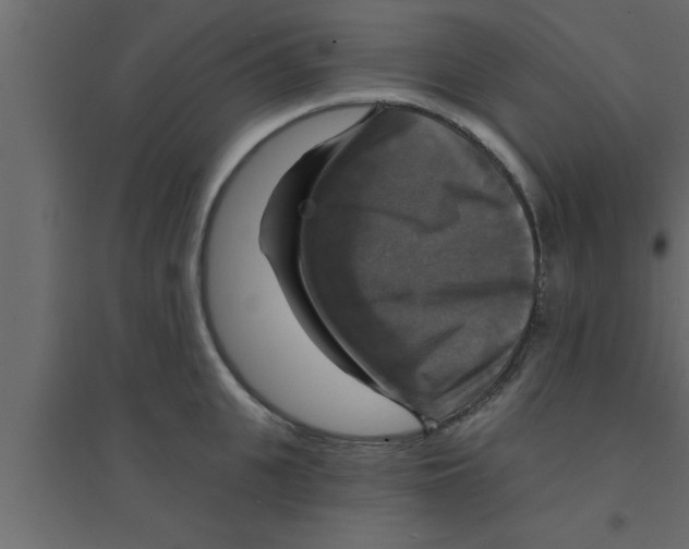 X0000094210951200711241657