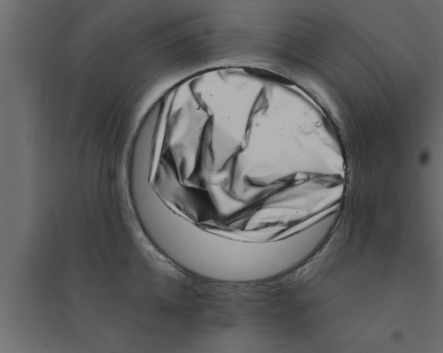 X0000094210952200711241657