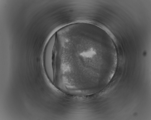 X0000094210955200711241657