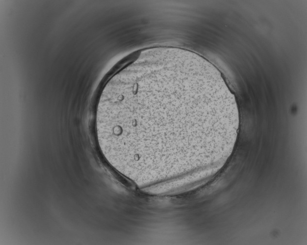 X0000094210956200711241657