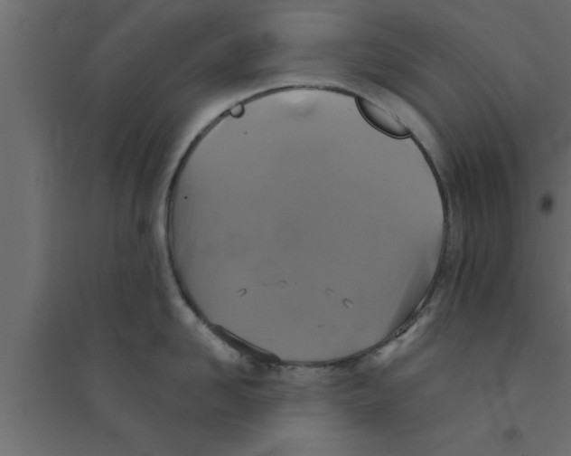 X0000094210958200711241657