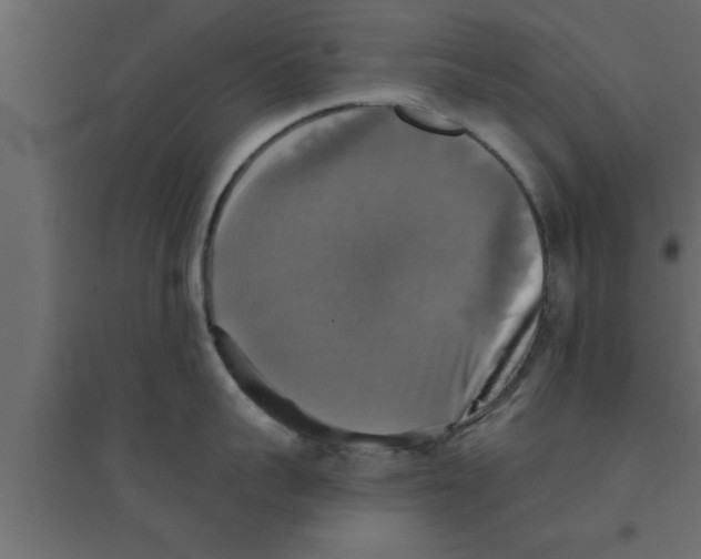 X0000094210959200711241657