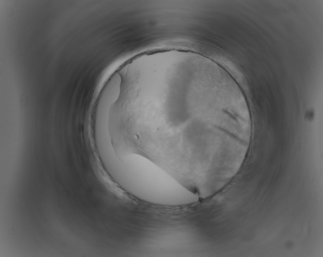 X0000094210960200711241657