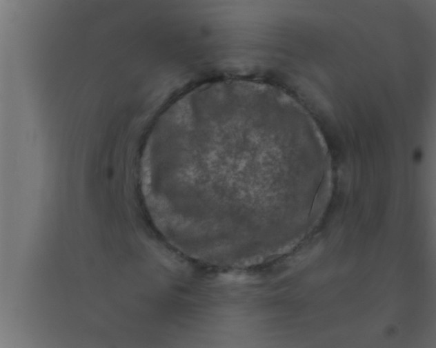X0000094210961200711241656