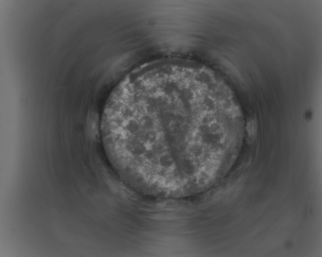 X0000094210963200711241656