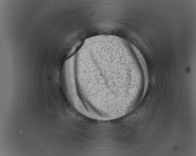 X0000094210964200711241656