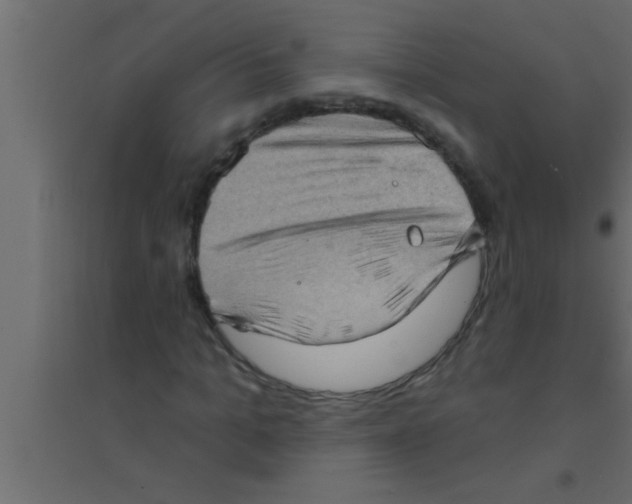 X0000094210965200711241656