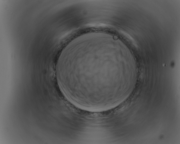X0000094210966200711241656