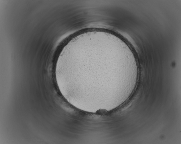 X0000094210971200711241656