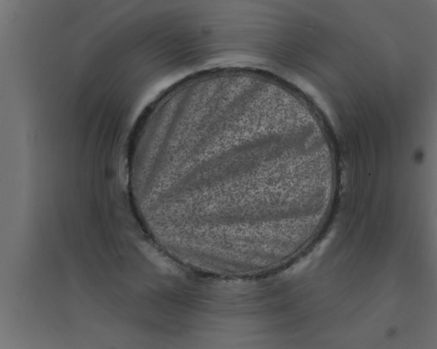 X0000094210973200711241656
