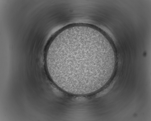 X0000094210974200711241656