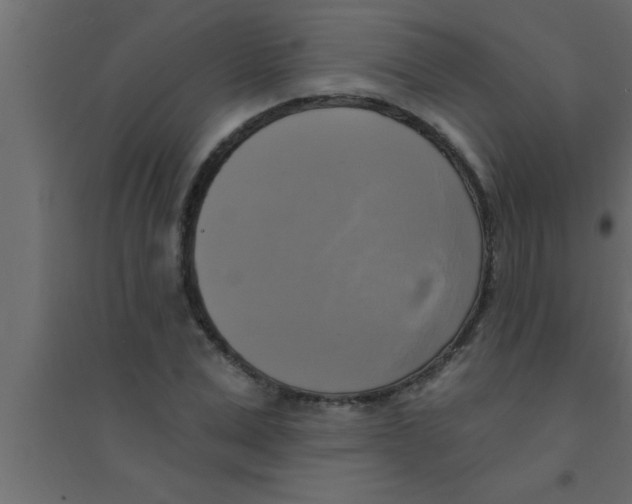 X0000094210975200711241656