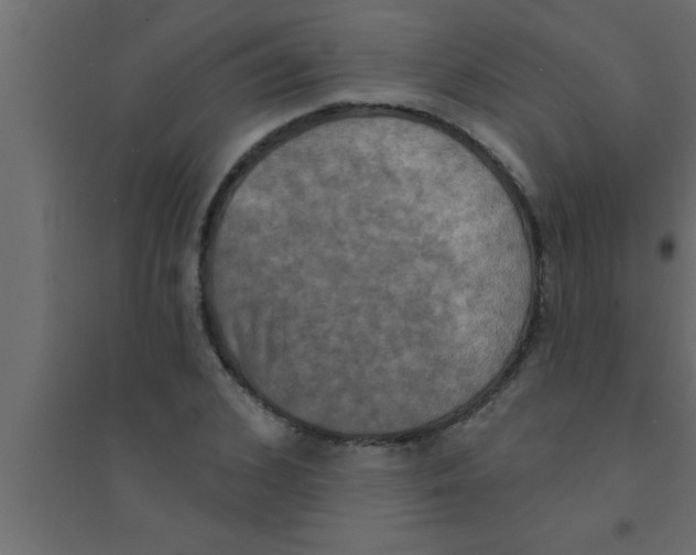 X0000094210976200711241656