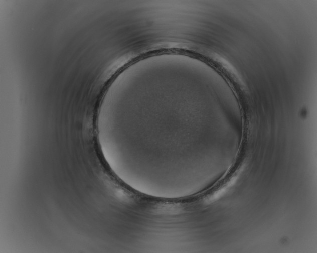 X0000094210977200711241656