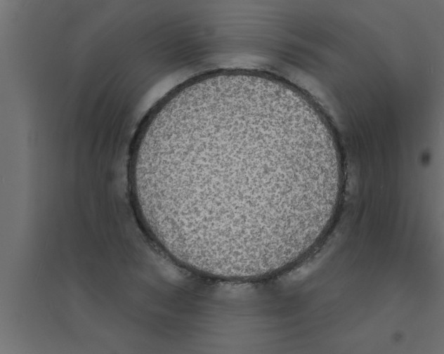 X0000094210978200711241656