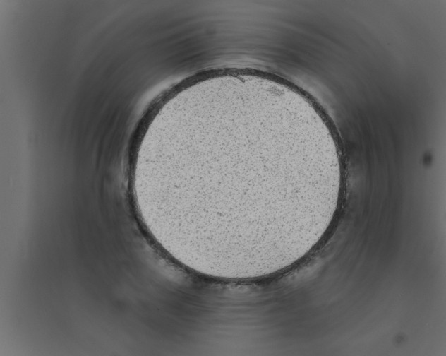 X0000094210979200711241656