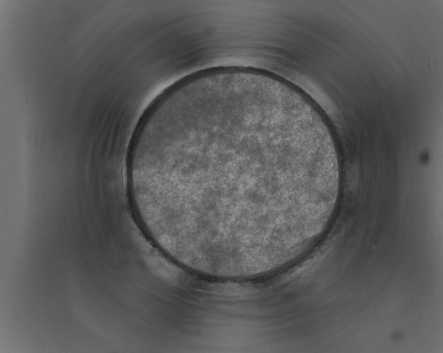 X0000094210980200711241656