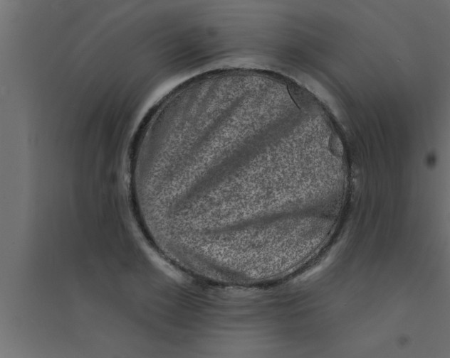 X0000094210981200711241656