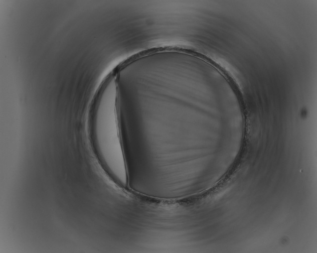 X0000094210983200711241656