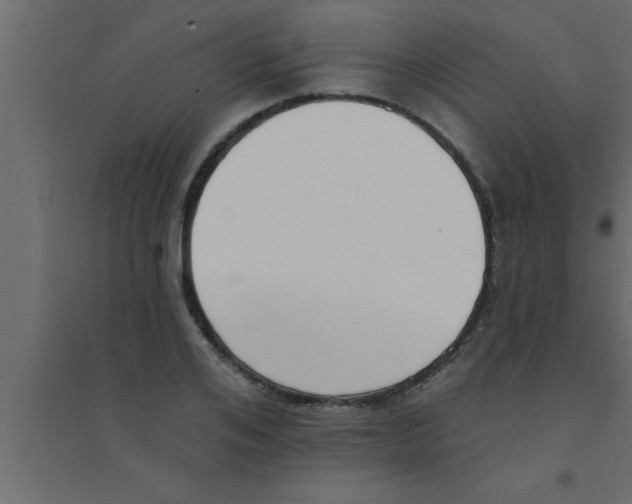 X0000094210984200711241656