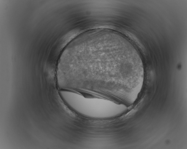 X0000094210985200711241656