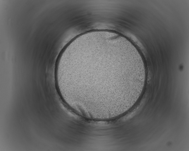 X0000094210986200711241656