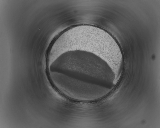 X0000094210987200711241656
