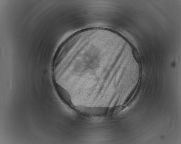 X0000094210989200711241656