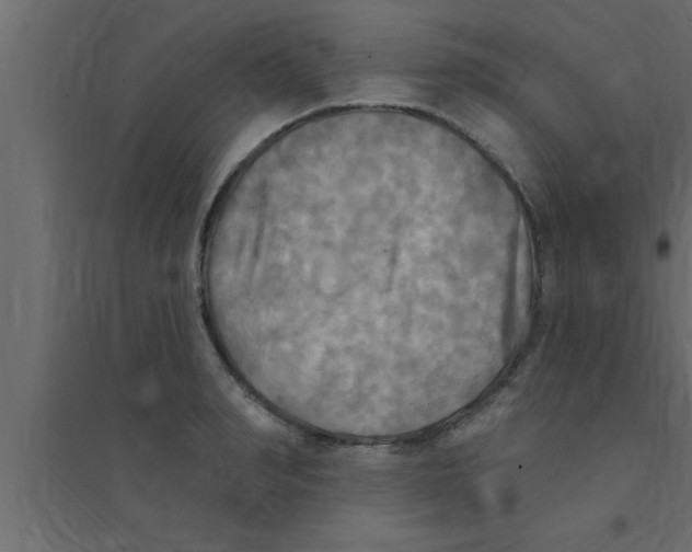 X0000094210990200711241656