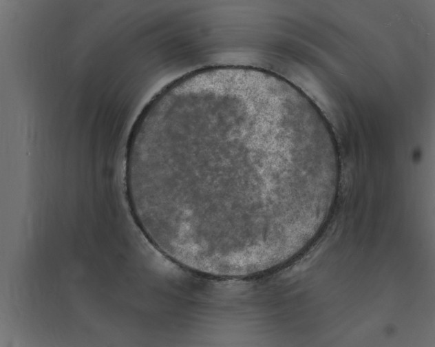 X0000094210992200711241656