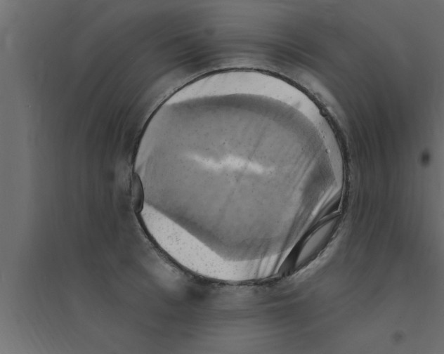 X0000094210993200711241656