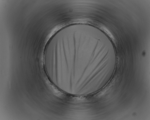 X0000094210994200711241656