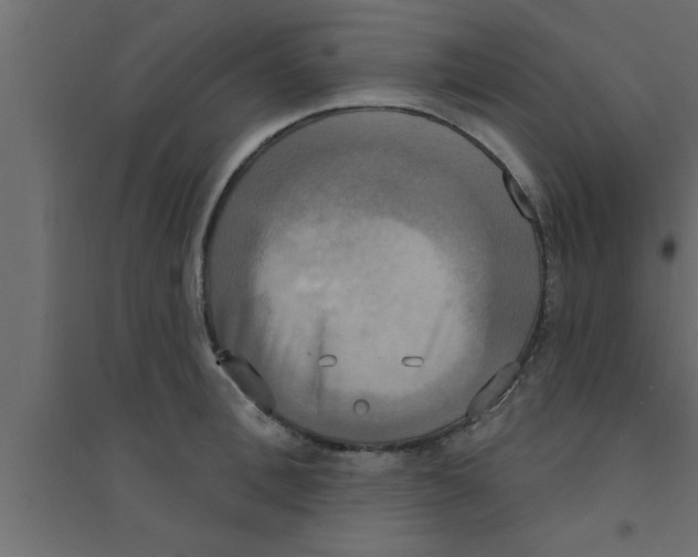 X0000094210996200711241656