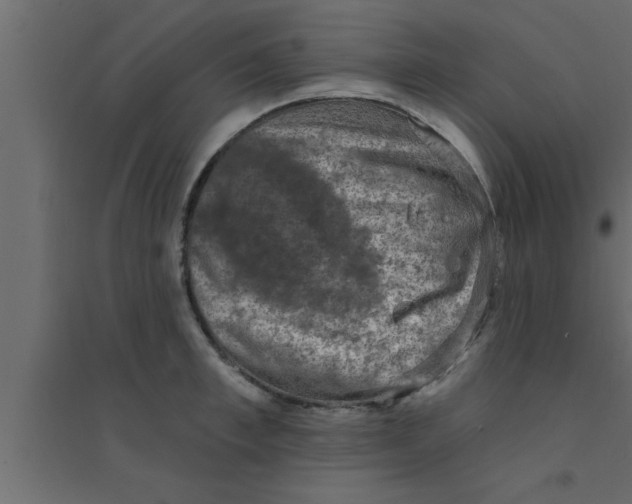 X0000094210997200711241656