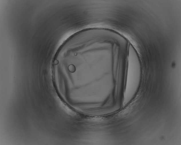 X0000094210998200711241656