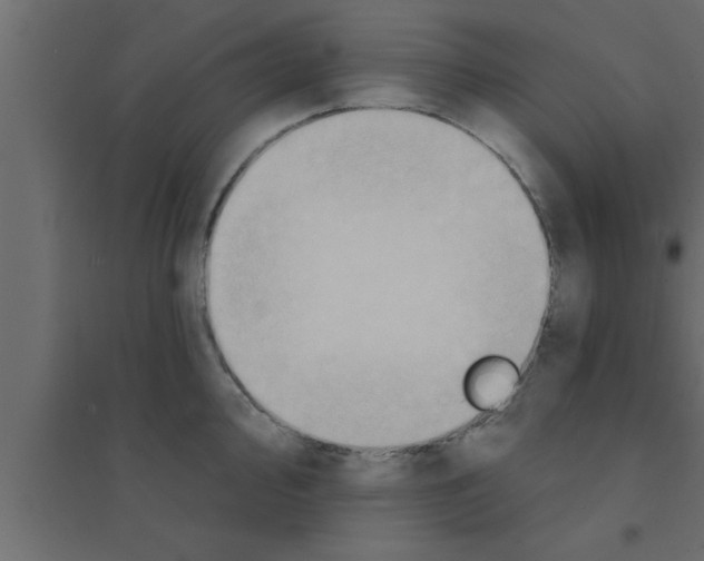 X0000094211000200711241656