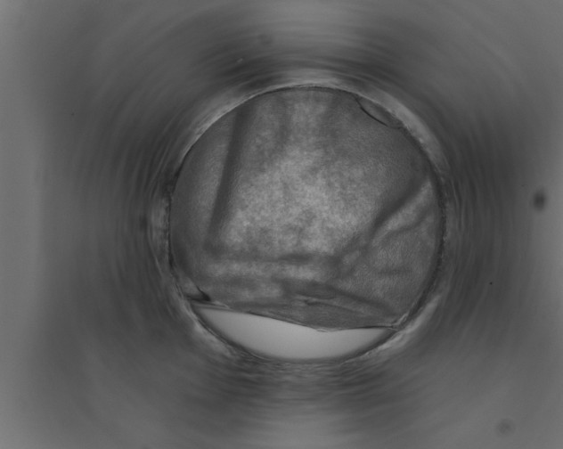 X0000094211001200711241656