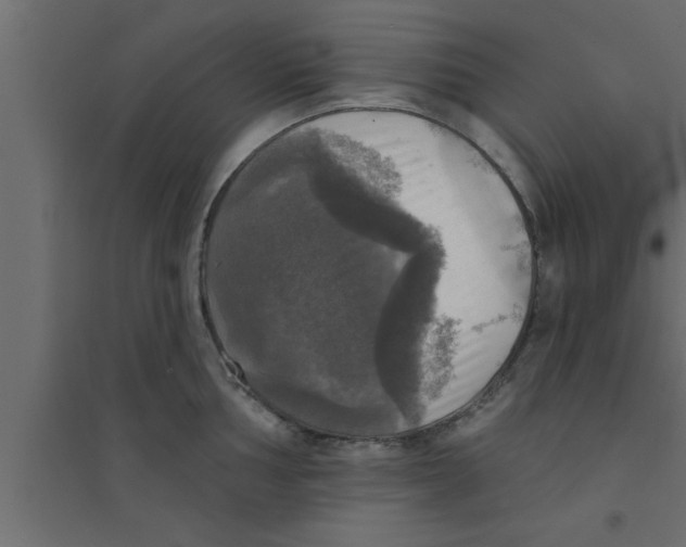 X0000094211002200711241656