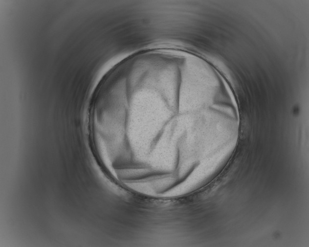 X0000094211003200711241656
