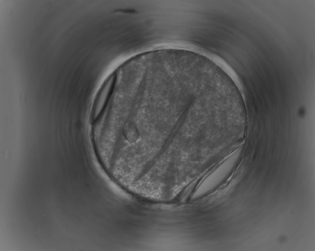 X0000094211005200711241656