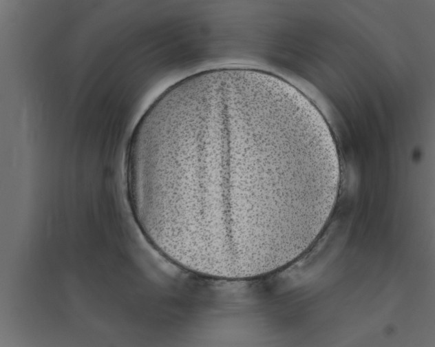 X0000094211006200711241656