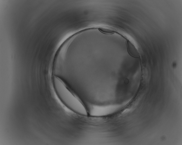 X0000094211007200711241656