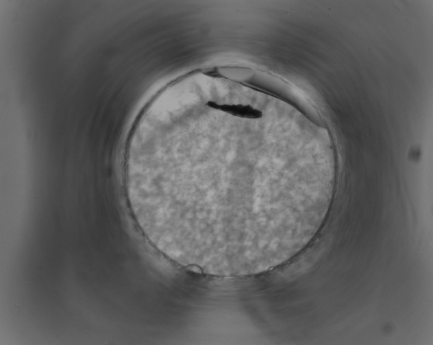 X0000094211008200711241656