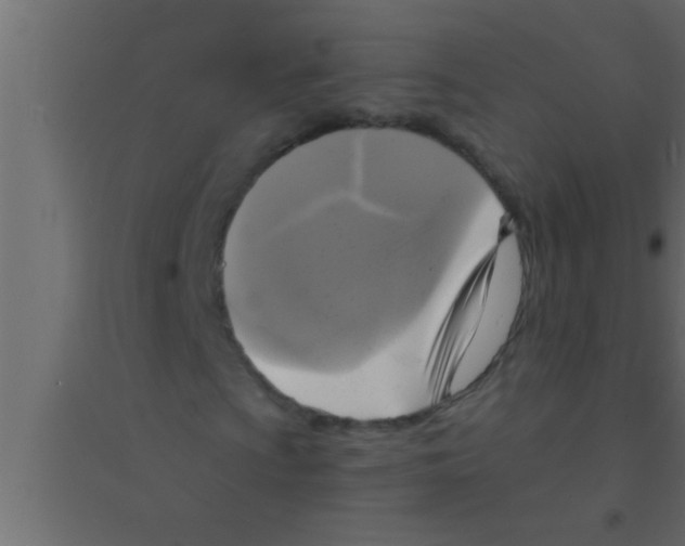 X0000094211009200711241655