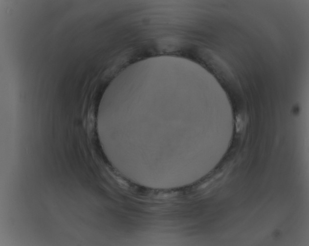 X0000094211011200711241655