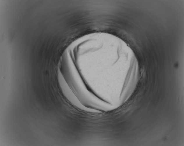 X0000094211012200711241655