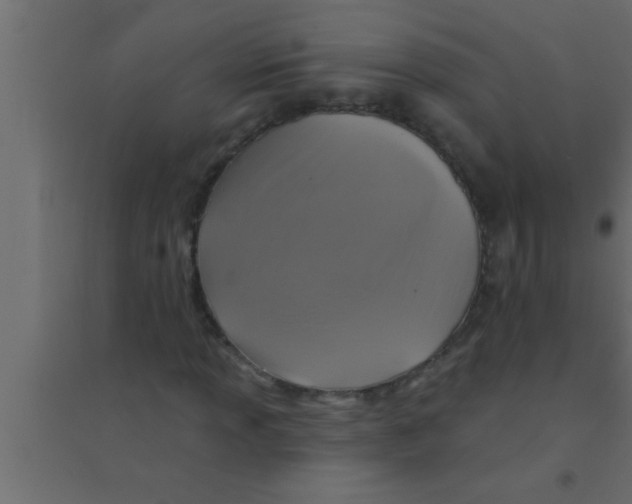 X0000094211013200711241655